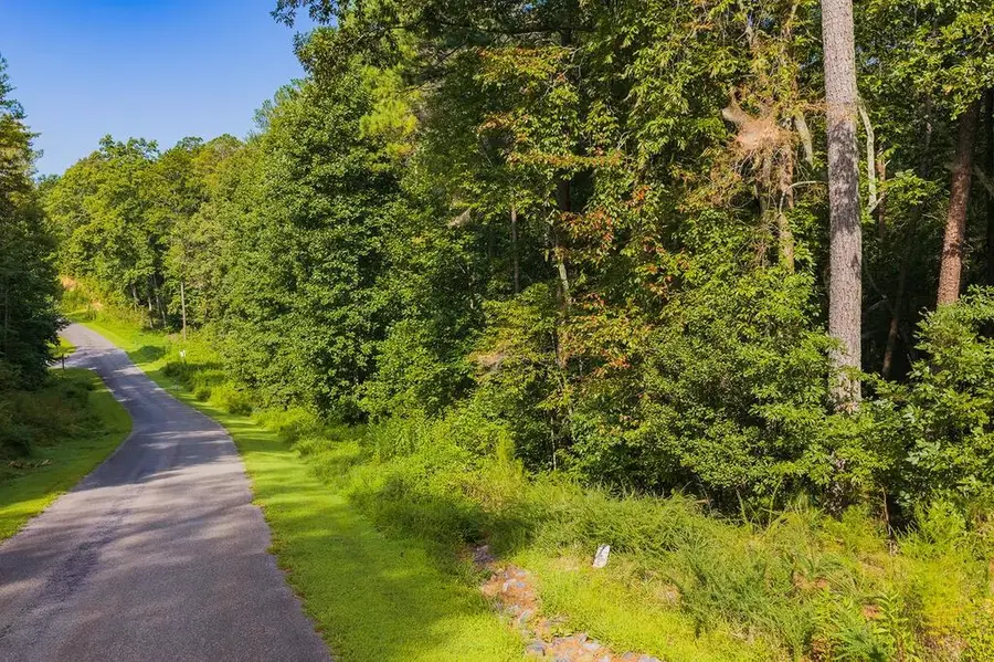 186 Pinnacle Drive, Ellijay, GA 30540 - #3