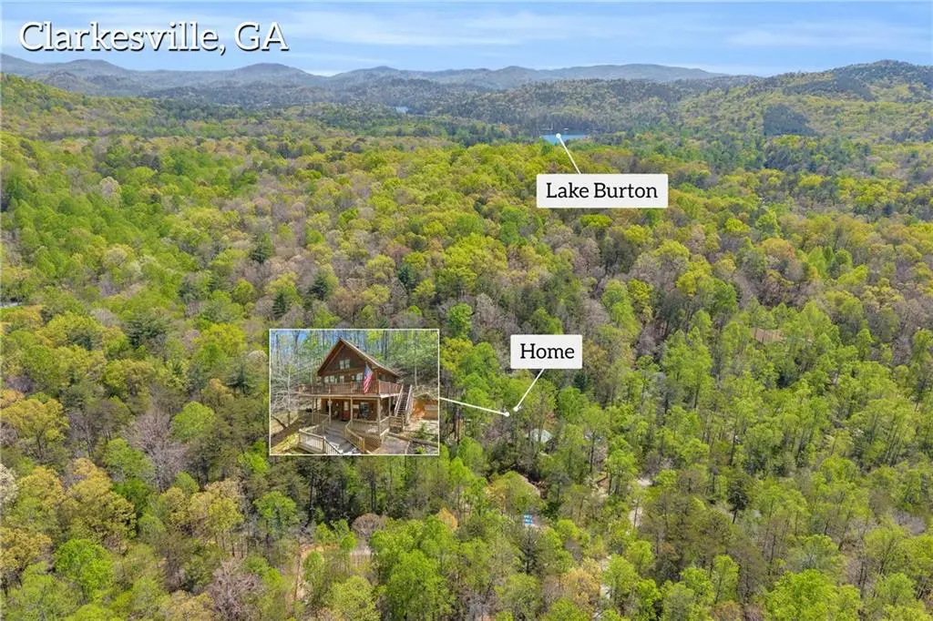 294 Brookwood Lane, Clarkesville, GA 30523 - #1