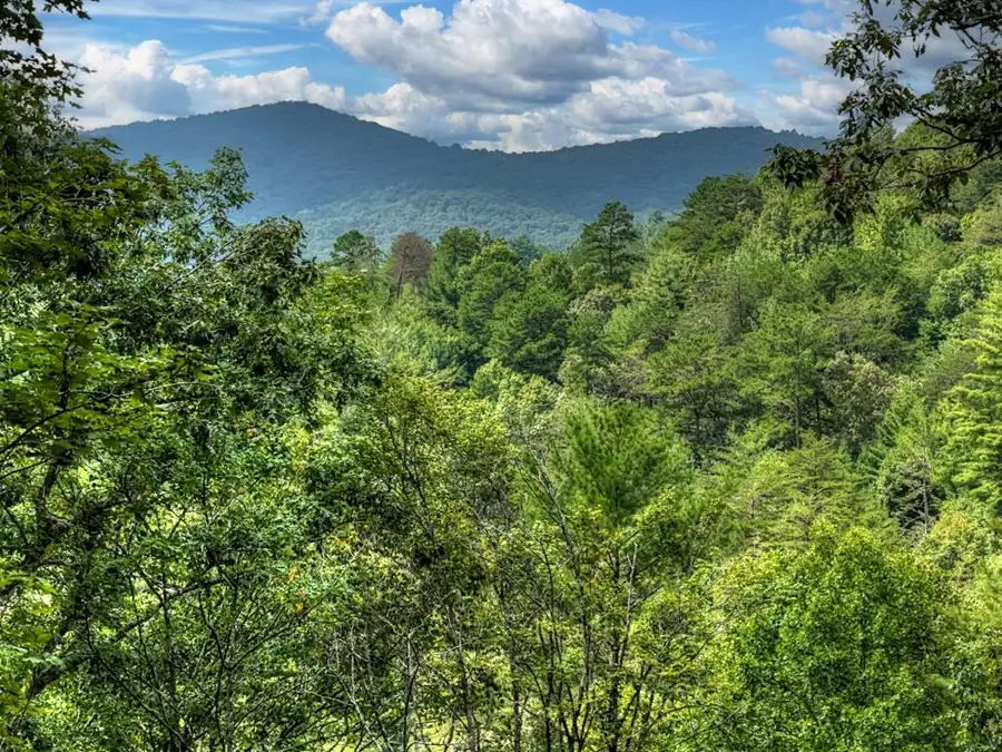 1821 Stanley Creek Road, Cherry Log, GA 30522 - #3