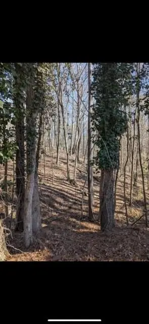 3216 Boulder Brook Drive, Lithonia, GA 30038 - #3