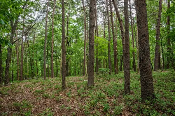 206R Mystic Trail Lane, Jasper, GA 30143