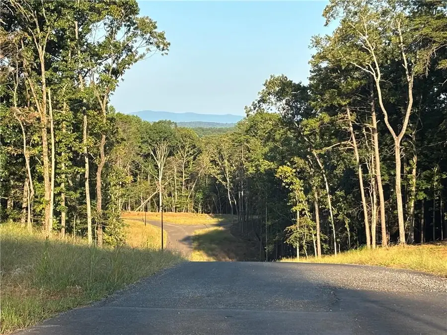 Lot 23 Norton Lane, Dahlonega, GA 30533 - #3