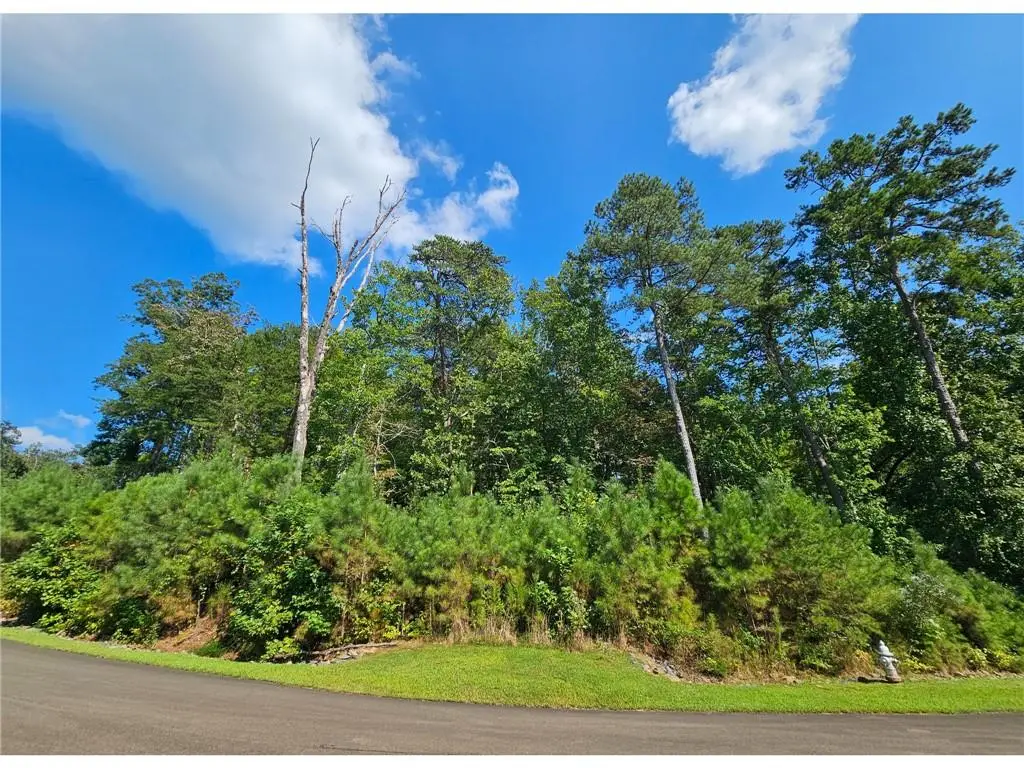 241 Carters View Lane, Ellijay, GA 30540 - #1