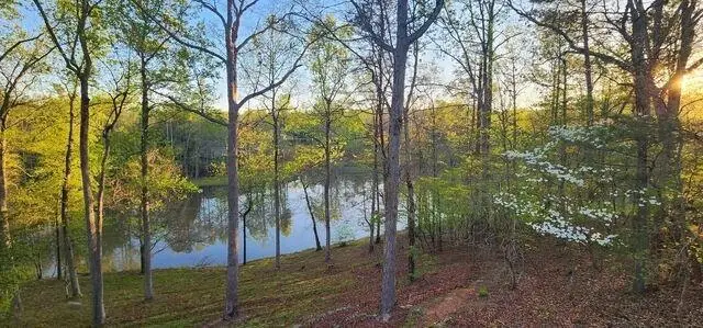 327 Kissimmee Trail, Cornelia, GA 30531 - #2