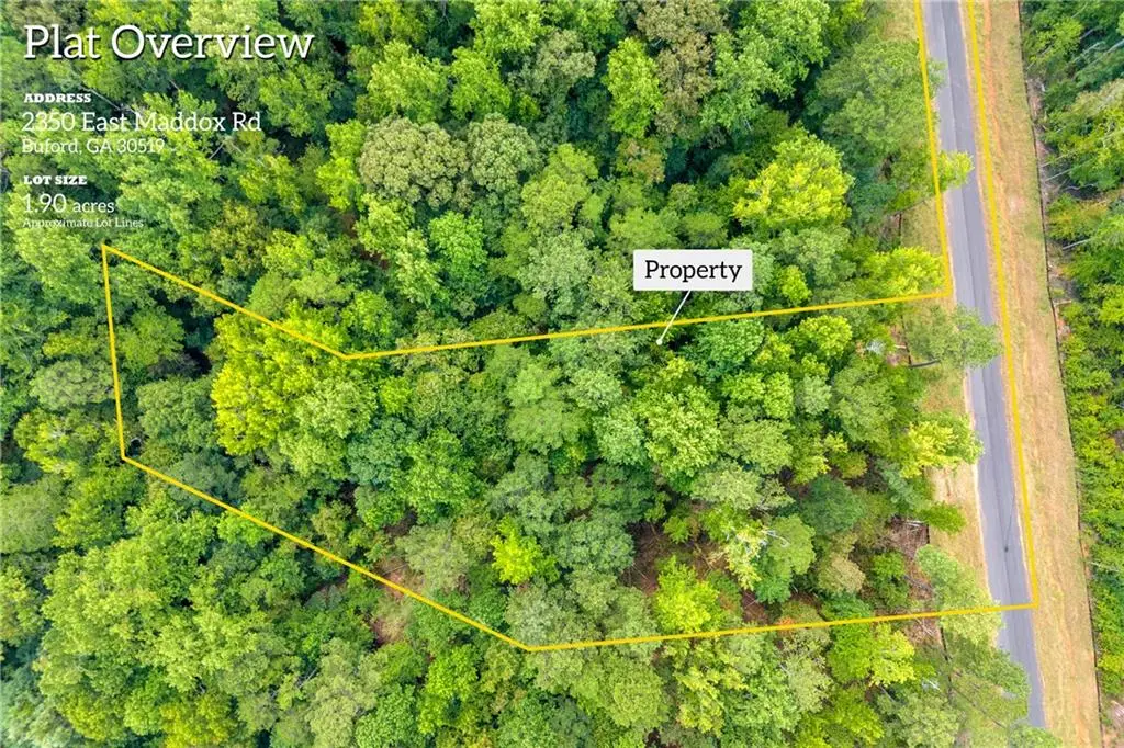 2350 East Maddox Road, Buford, GA 30519 - #1