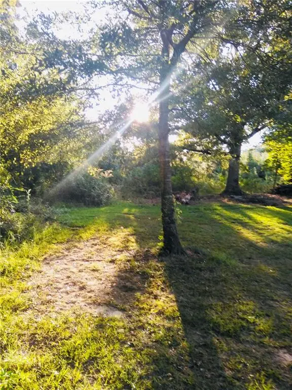 1517 Ninety Seven Springs Road Ne, Dalton, GA 30721 - #3