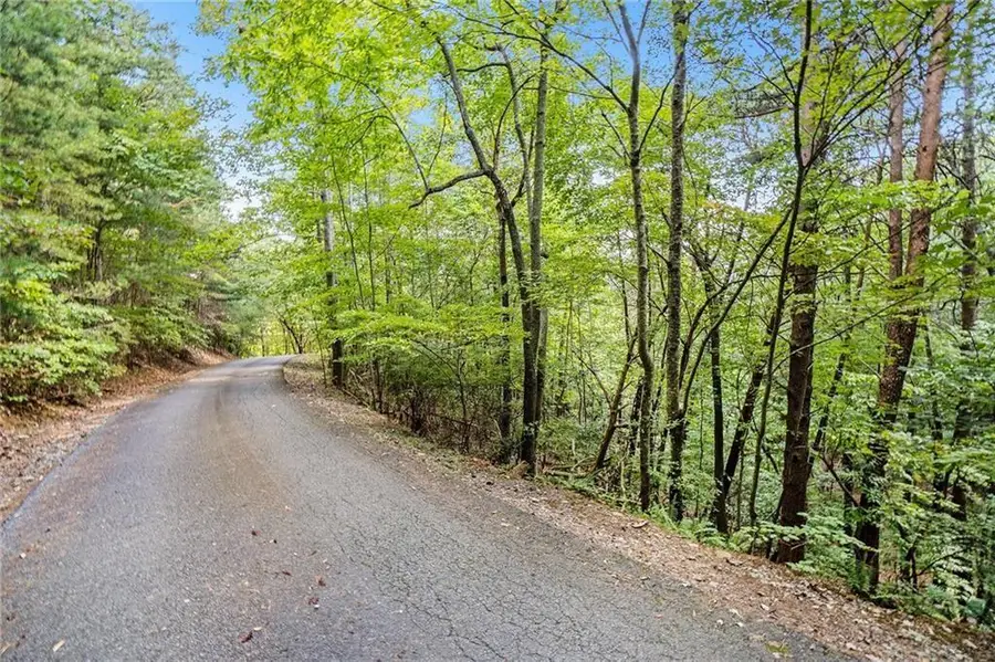 0 Woodland Court, Ellijay, GA 30536 - #2