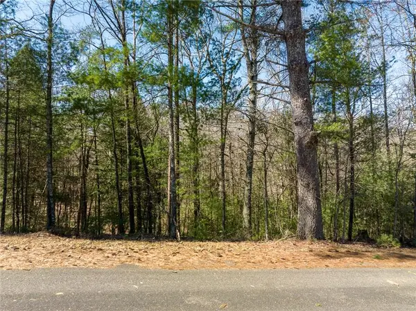 0 Shenendoa Drive, Ellijay, GA 30540