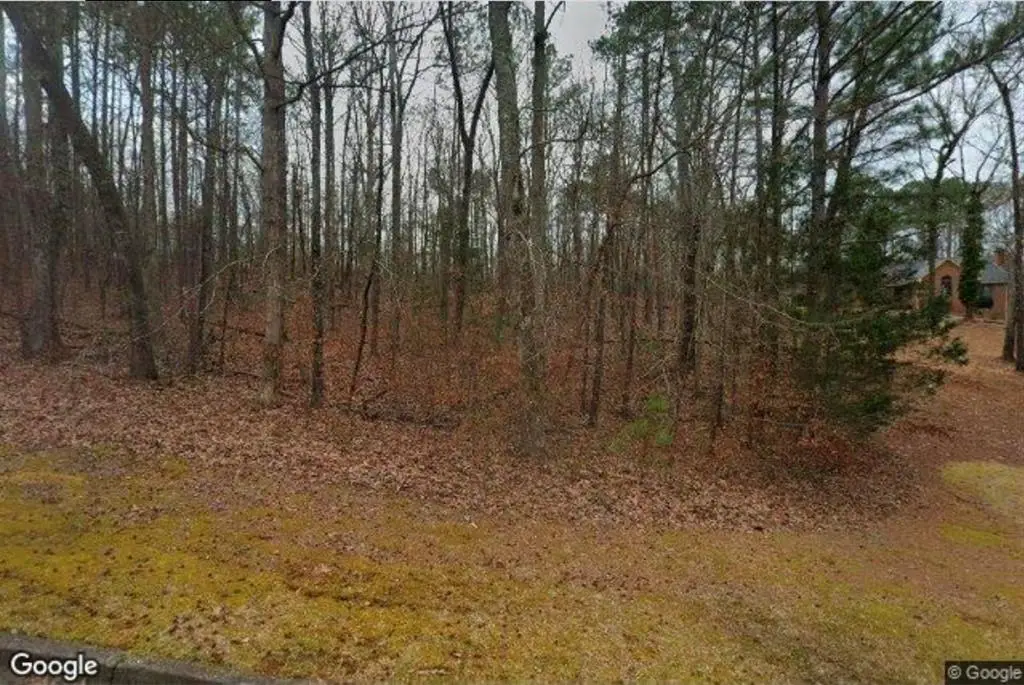 3613 Sierra Drive, Stockbridge, GA 30281 - #1