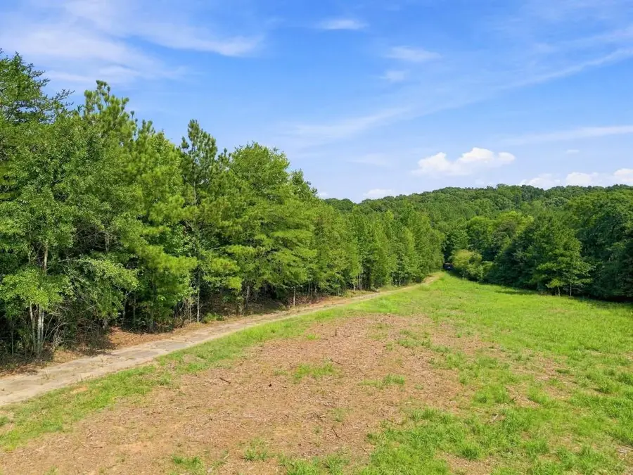 409 Peeples Road Se, Aragon, GA 30104 - #3