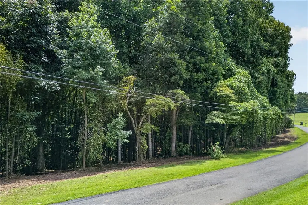 0 Henry Turner Trail, Ball Ground, GA 30107 - #1