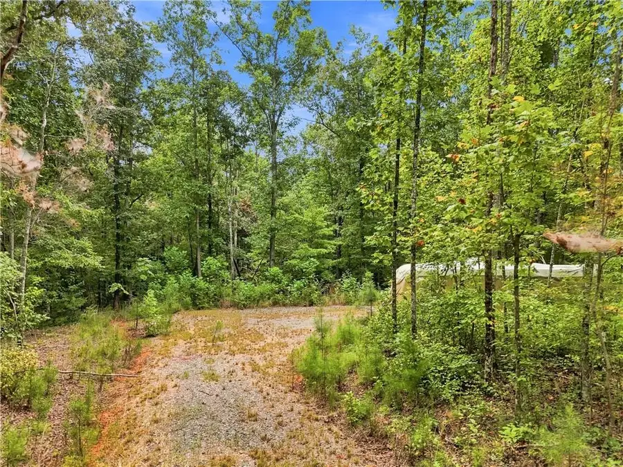 2040 Pleasant Union Road, Canton, GA 30114 - #3