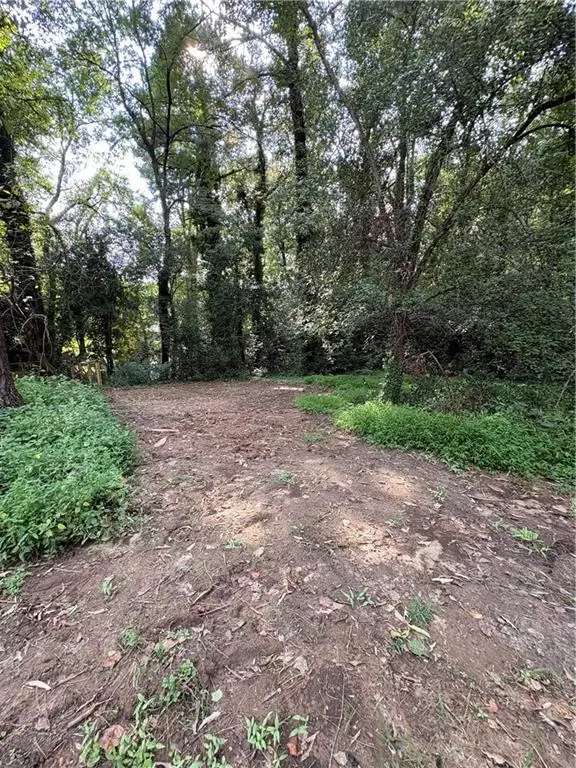 Lot 10 Adamson Road, Jonesboro, GA 30236 - #2