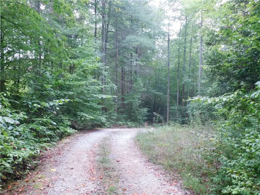 380 David Drive, Tiger, GA 30576 - #3