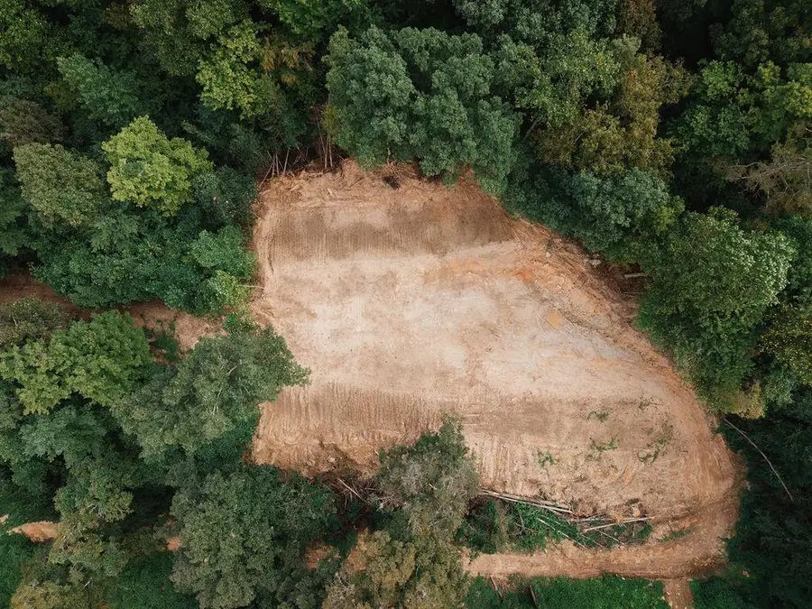 3280 Old Burnt Mountain Road Road, Jasper, GA 30143 - #2