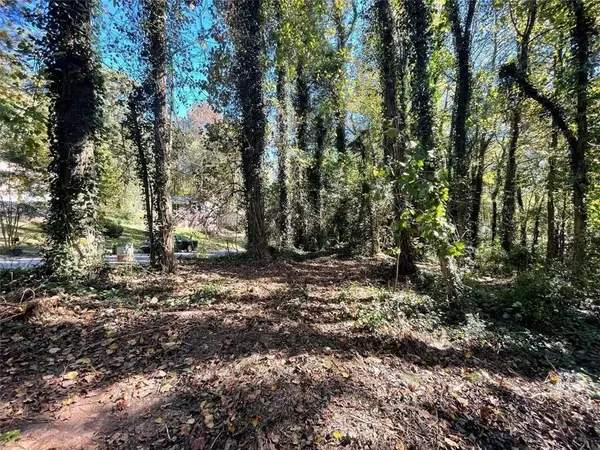 1060 De Leon Drive, Clarkston, GA 30021
