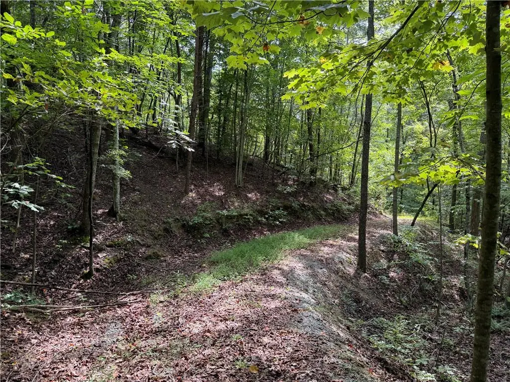 0 Fuller Mountain Road, Fairmount, GA 30139 - #1