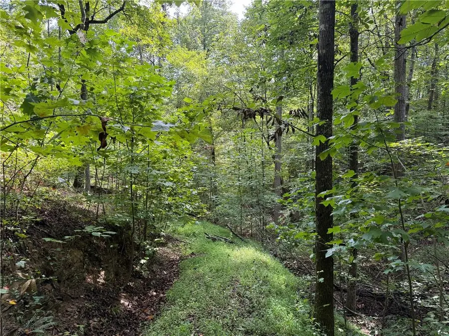 0 Fuller Mountain Road, Fairmount, GA 30139 - #2