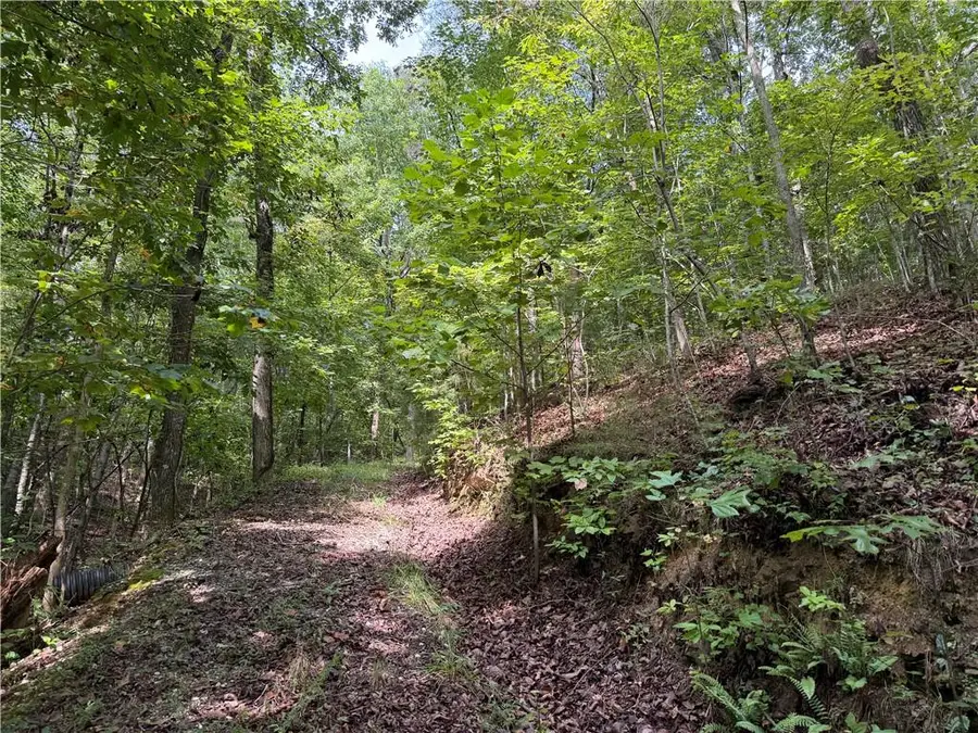 0 Fuller Mountain Road, Fairmount, GA 30139 - #3