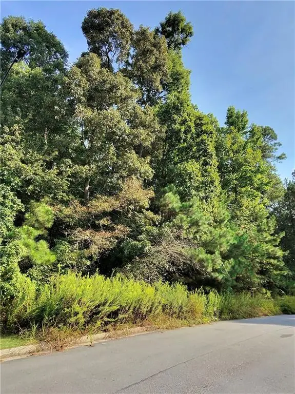 187 Mary Hill Lane, Douglasville, GA 30134 - #2