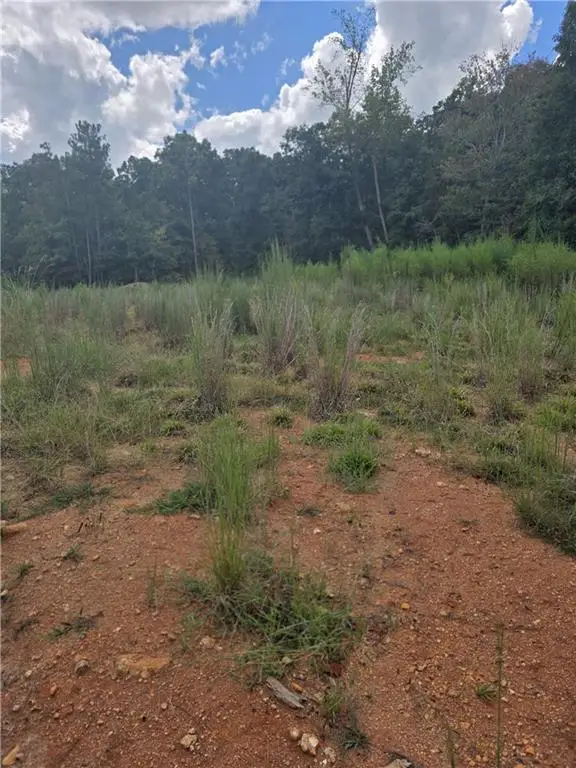 888 Forrester Cemetery Road, Covington, GA 30014 - #1