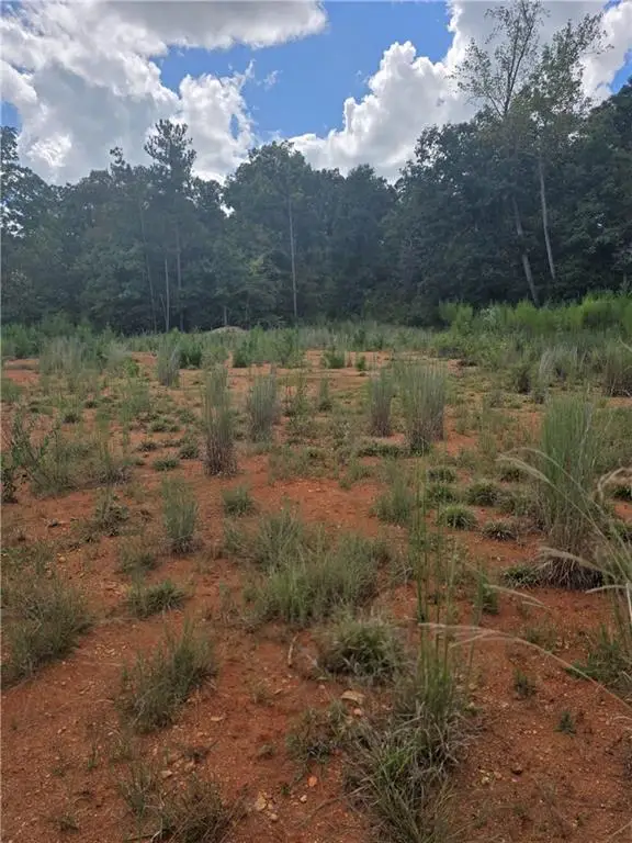 888 Forrester Cemetery Road, Covington, GA 30014 - #2