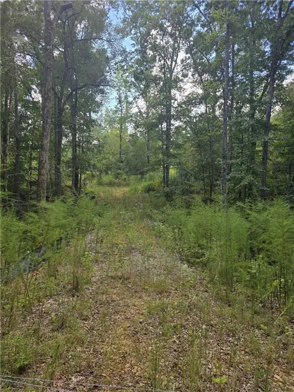 888 Forrester Cemetery Road, Covington, GA 30014 - #3