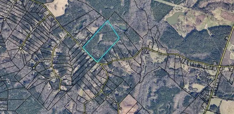 1458 Pitts Chapel Road, Newborn, GA 30056 - #2