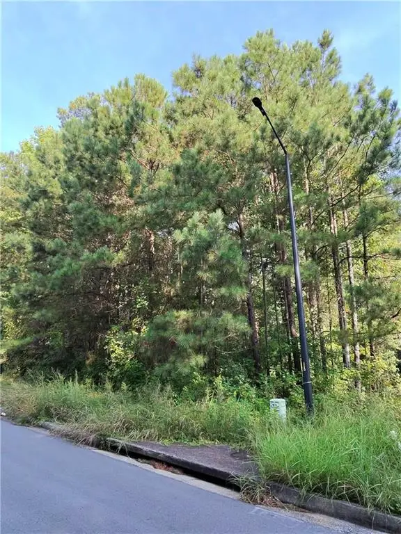203 Mary Hill Lane, Douglasville, GA 30134 - #2