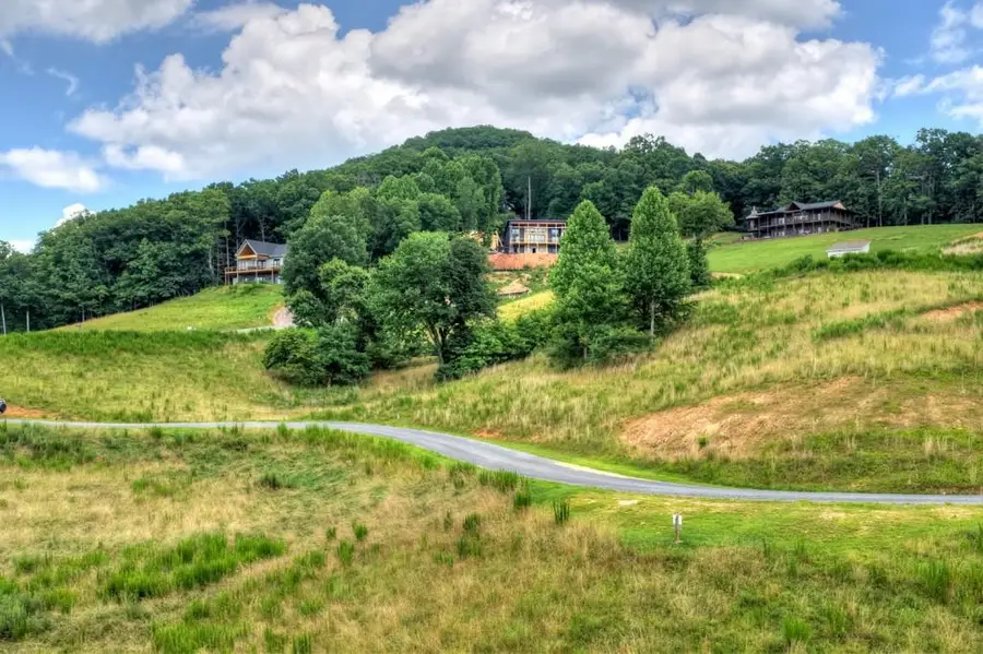 LOT 42 Big Valley Overlook, Morganton, GA 30560 - #3