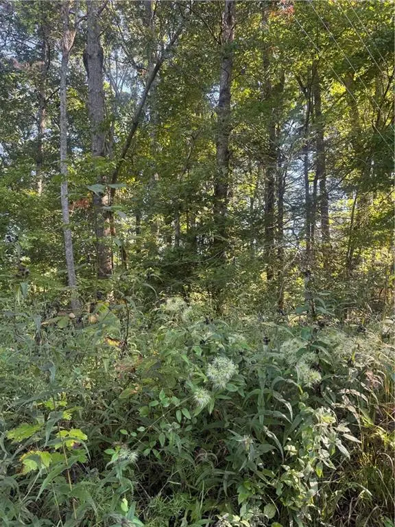 Lot 3 Roberts Ridge Road, Ellijay, GA 30540