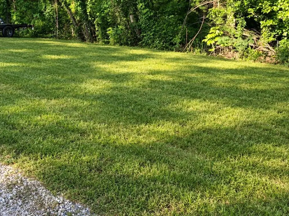 5640 Alligator Aly Alley, Gainesville, GA 30506 - #1