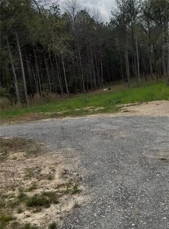 711 Pleasant Valley Road, Adairsville, GA 30103 - #3