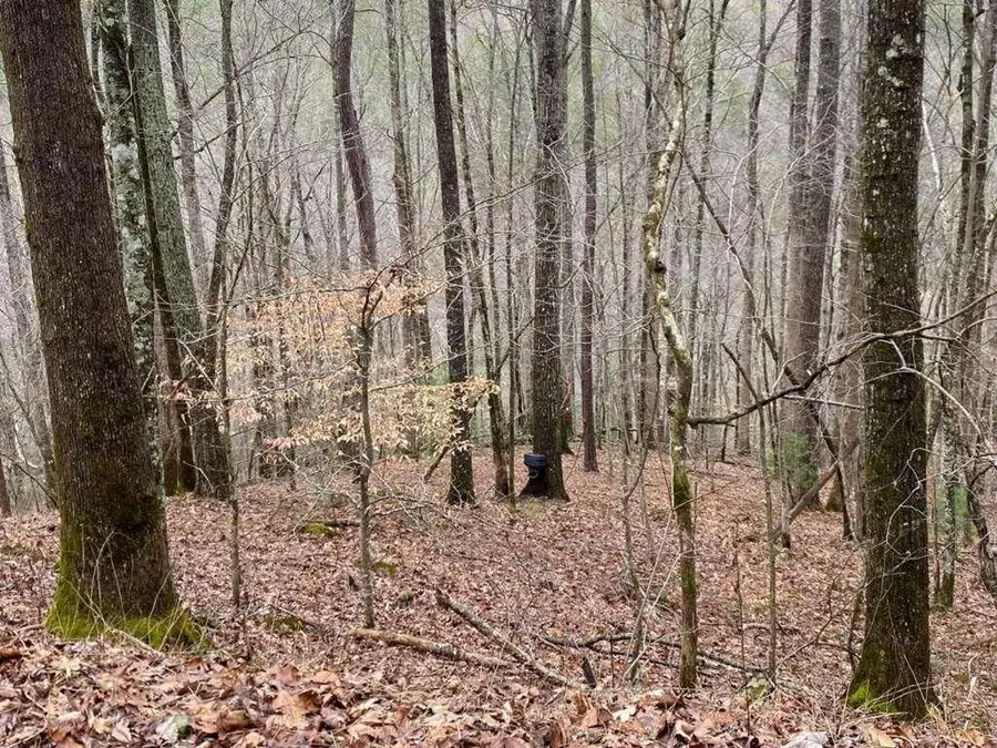 4AC Scenic Way, Ellijay, GA 30540 - #2