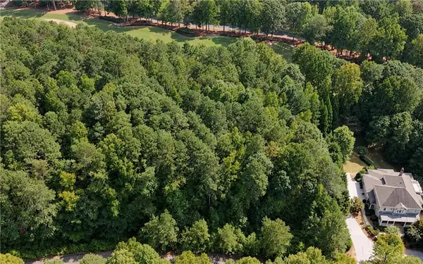 104 Hawks Court, Ball Ground, GA 30107