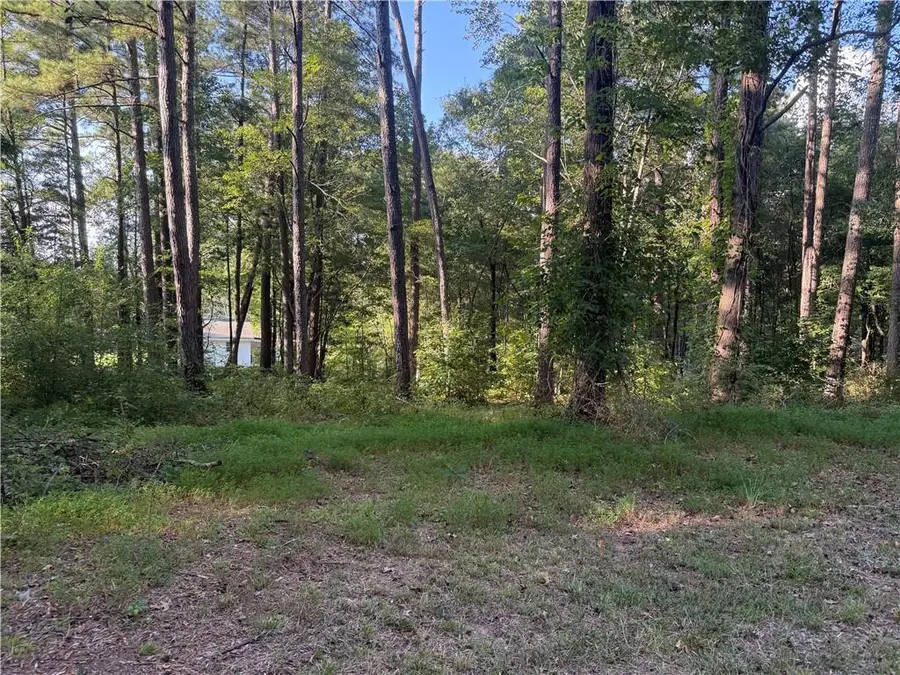 88 Grogan Hill Road Se, Silver Creek, GA 30173 - #3