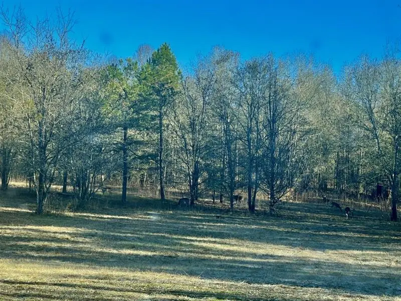 1072 Ford Road, Jefferson, GA 30549 - #1