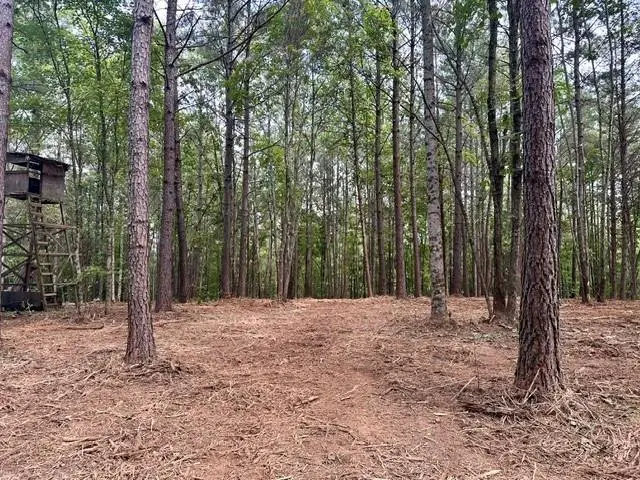130 Patriot View Drive, Dahlonega, GA 30533 - #1