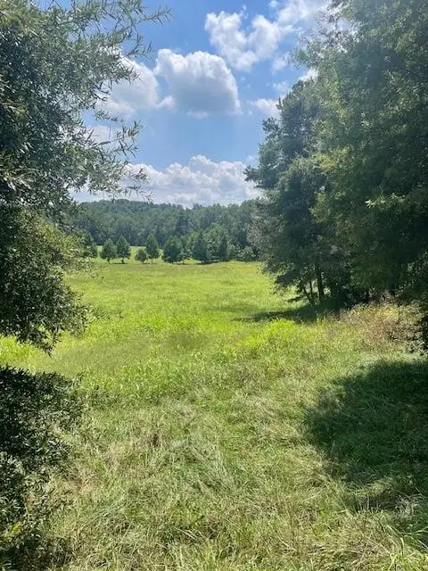 Lot 8 Captains Court, Clarkesville, GA 30523 - #1