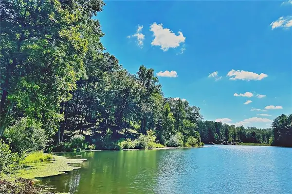 0 Pinnacle Drive, Ellijay, GA 30540