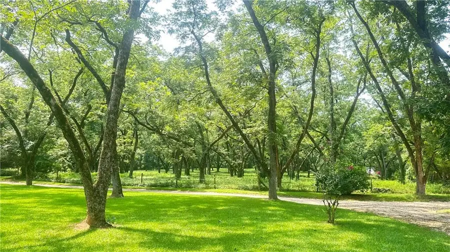 169 Silver Dollar Road, Barnesville, GA 30204 - #2