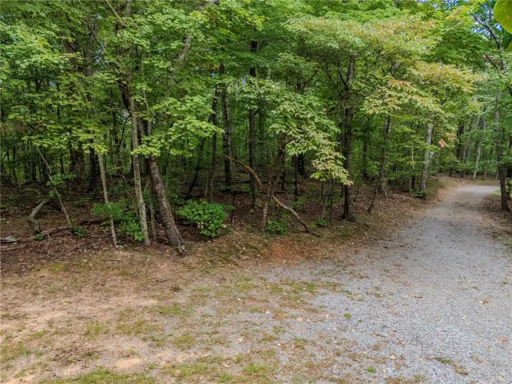 0 Clearview Drive, Jasper, GA 30143 - #1