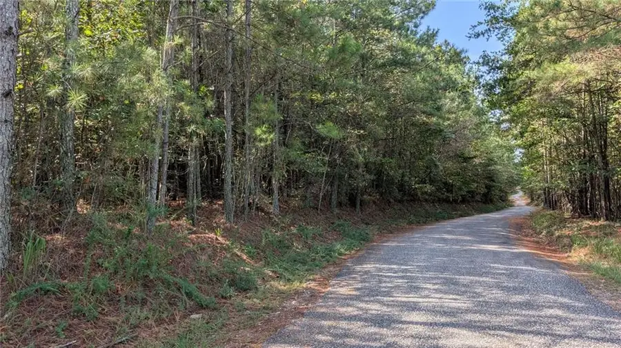 1088 Ballard Rd, Ball Ground, GA 30107 - #2