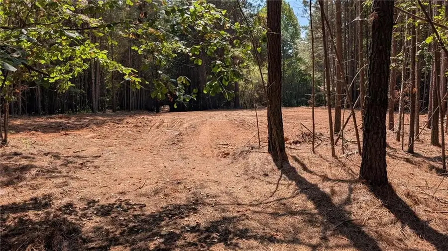 1088 Ballard Rd, Ball Ground, GA 30107 - #3