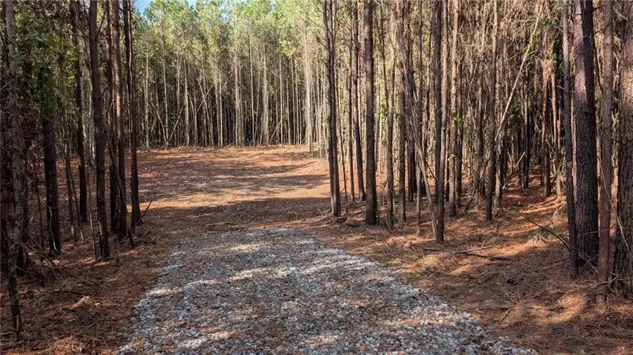 2446 Soap Creek Rd, Ball Ground, GA 30107 - #2