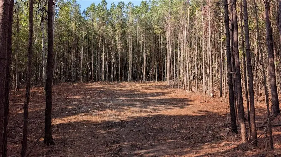 2446 Soap Creek Rd, Ball Ground, GA 30107 - #3