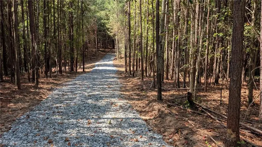 1124 Soap Creek Rd, Ball Ground, GA 30107 - #2