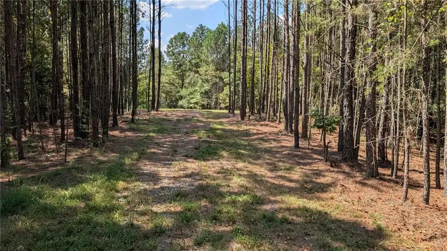1150 Ballard Rd, Ball Ground, GA 30107 - #3