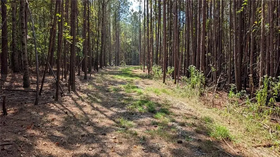 1158 Ballard Rd, Ball Ground, GA 30107 - #3