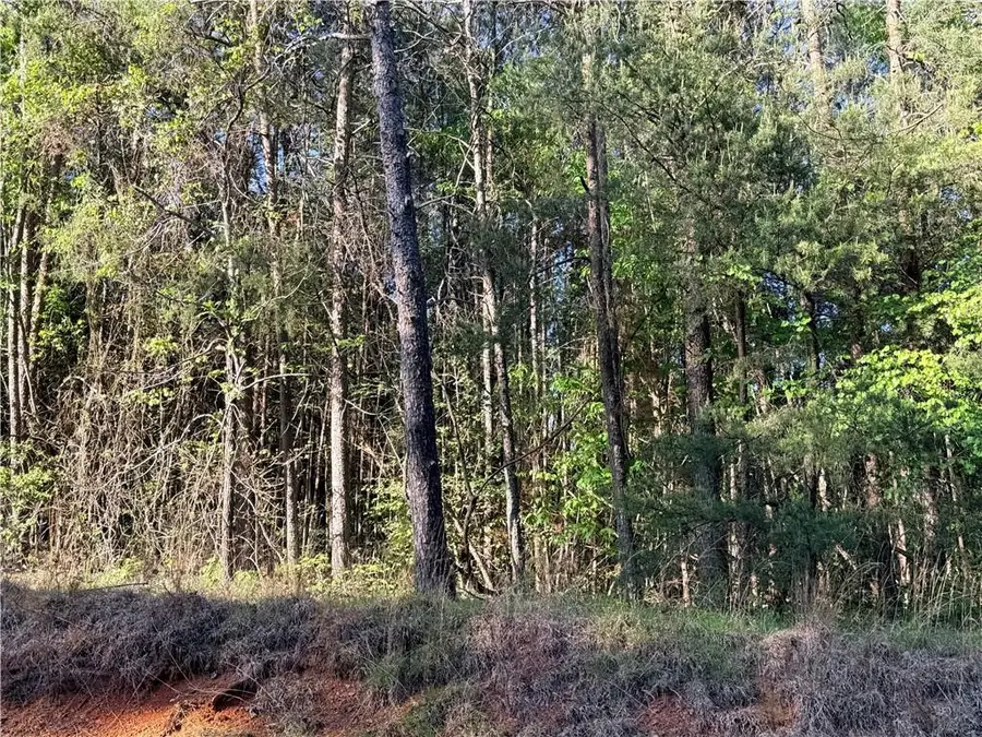LOT 7A Pea Ridge Road, Ball Ground, GA 30107 - #3